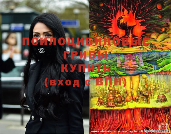 тгк Алексин