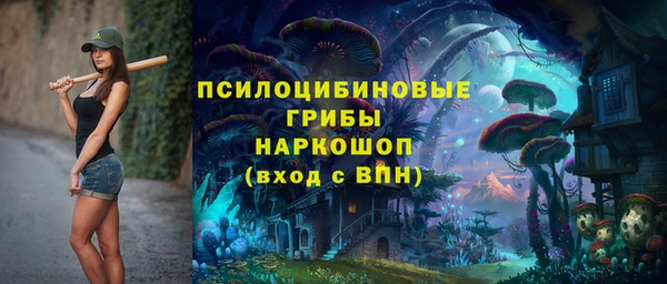 дмт Алексеевка