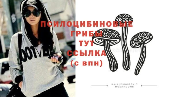 тгк Алексин